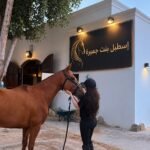 مدربة الفروسية المعتمدة دانه سليمان
