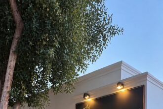 مدربة الفروسية المعتمدة دانه سليمان